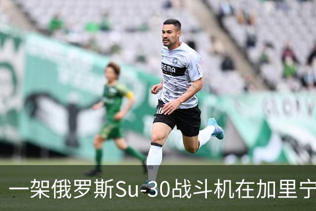 一架俄罗斯Su-30战斗机在加里宁格勒地区坠毁，这是本月损失的第10架飞机