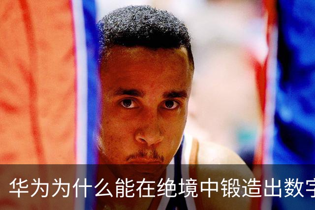 华为为什么能在绝境中锻造出数字主权