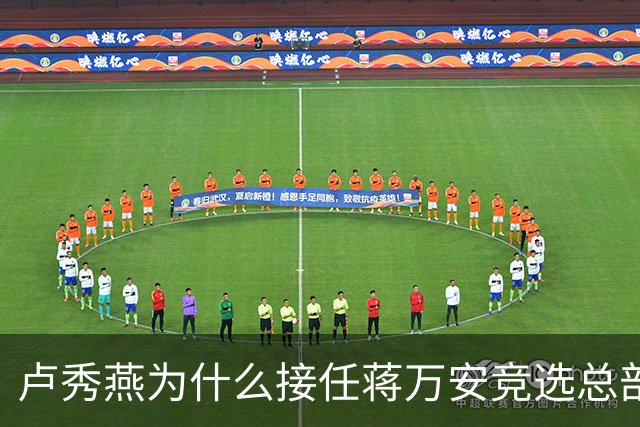 卢秀燕为什么接任蒋万安竞选总部的主委？