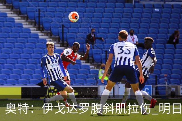 奥特：伊戈达罗腹斜肌拉伤 明日肯定无法出战
