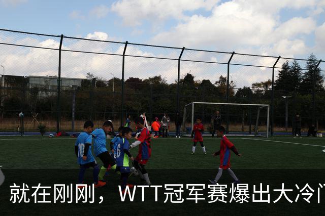 就在刚刚，WTT冠军赛爆出大冷门，欧洲冠军早早被淘汰，松岛辉空意外获益