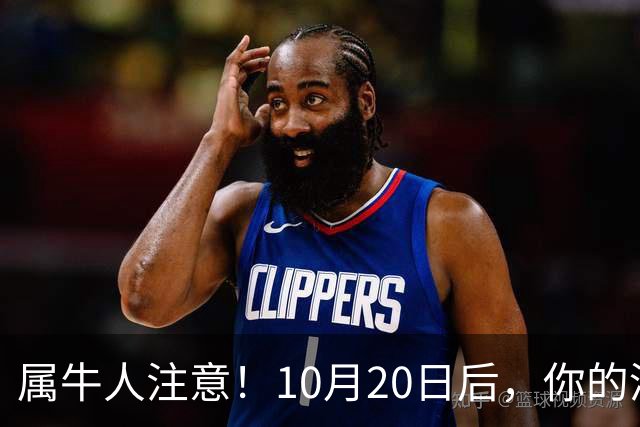 属牛人注意！10月20日后，你的清闲日子要暂时叫停了