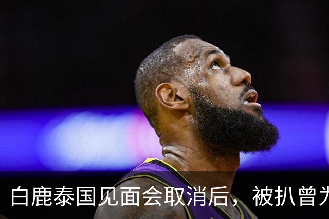 白鹿泰国见面会取消后，被扒曾为缅北拍宣传片，知情人爆更多内幕