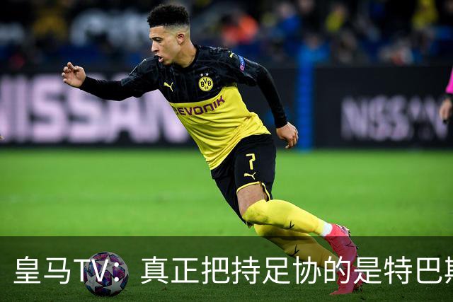 皇马TV：真正把持足协的是特巴斯，这简直是巨大的隐患