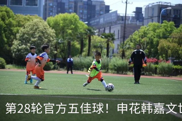 第28轮官方五佳球！申花韩嘉文世界波第3 海港莱昂纳多吊射是第一