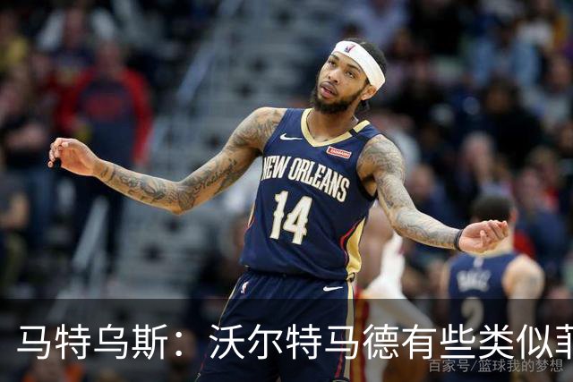 马特乌斯：沃尔特马德有些类似菲尔克鲁格，他应该回德国足坛踢球
