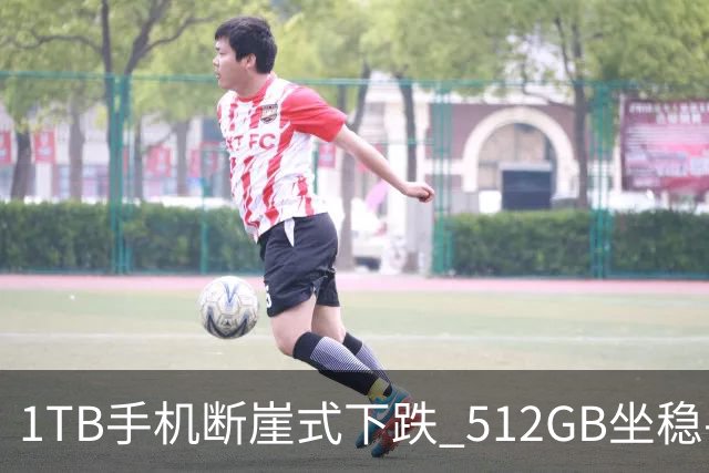 1TB手机断崖式下跌 512GB坐稳手机第一大存储容量